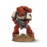 Citadel Mordian Corpsegrass