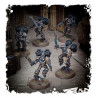 Warhammer Raptors
