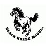 Black Horse Model